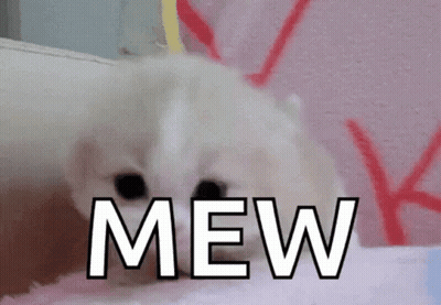 White Kitten Laying On Pink Blanket Saying Mew GIF