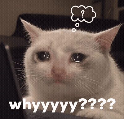 White Kitten With Mouth Open Sitting on Table
