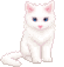White Kitty Cat Sticker GIF