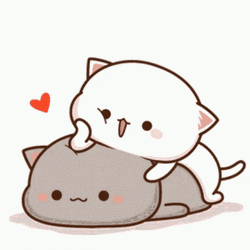 White Kitty Mochi Care GIF