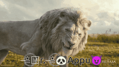 White Lion In Grassy Field With Appu Mufasa GIF