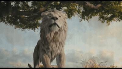 White Lion Standing Under Tree Eyes Closed GIF