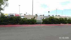 White Lowrider Cruising GIF