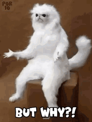 White Monkey Asking But Why GIF