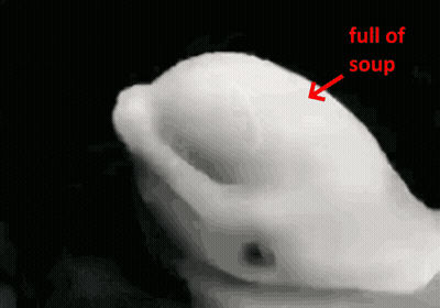 White Object With Red Arrow Pointing To Soup GIF