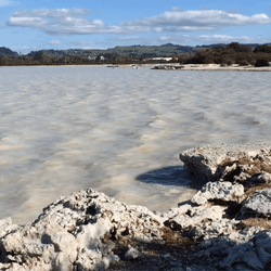 White Ocean Wave GIF