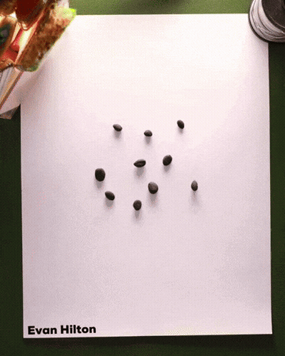 White Paper With Evan Hilton Written GIF