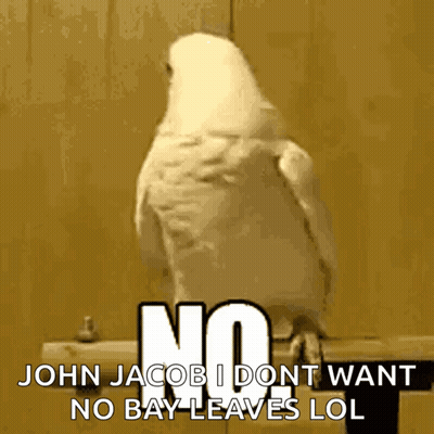 White Parrot John Jacob I Don't Want No Bay Leaves LOL GIF