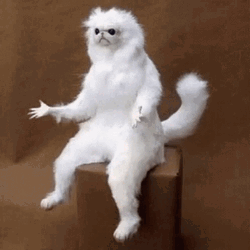 White Persian Cat Statue Wut GIF
