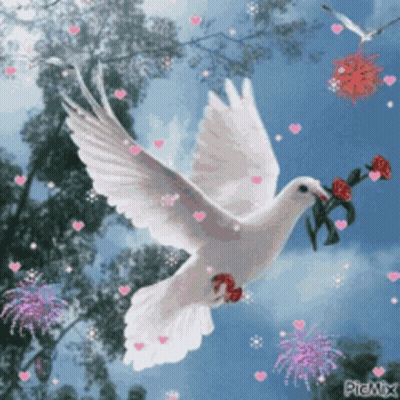 White Pigeon Flying With Hearts And Flowers GIF