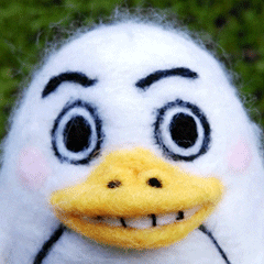 White Platypus Nodding GIF