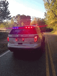 White Police Car Lights GIF