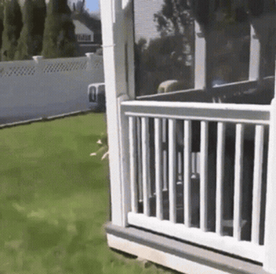 White Porch With Railing And Fence GIF