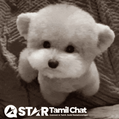 White Puppy On Star Tamil Chat GIF