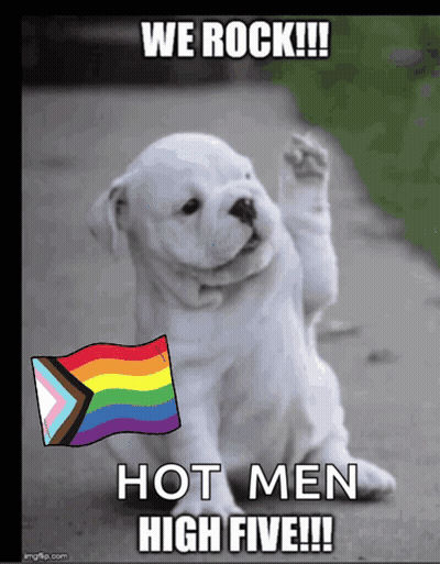 White Puppy With Rainbow Flag We Rock Hot Men High Five GIF