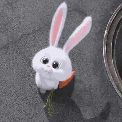 White Rabbit Eating Carrot GIF