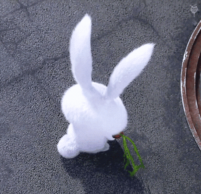 White Rabbit Eating Green Plant GIF
