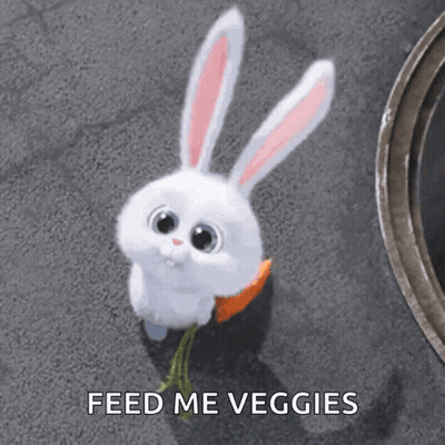 White Rabbit Holding Carrot Feed Me Veggies GIF