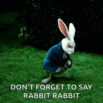White Rabbit In Blue Jacket Says Rabbit Rabbit GIF