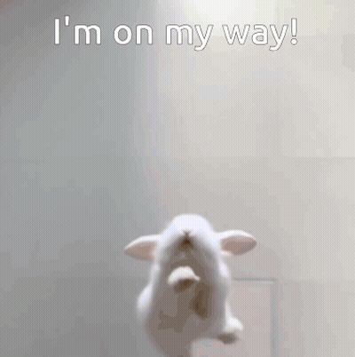 White Rabbit Jumping Saying I'm On My Way GIF
