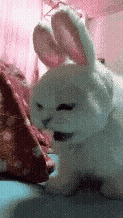 White Rabbit Laying On Bed With Pink Blanket GIF