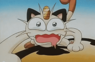 White Rabbit On Sandy Beach Saying Okay GIF