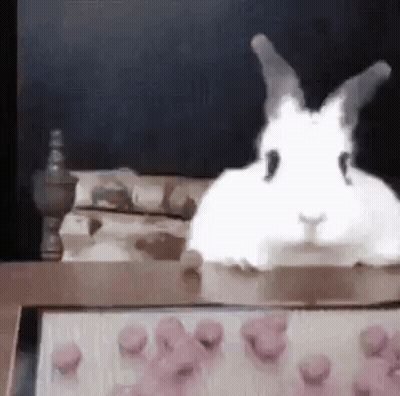 White Rabbit Sitting Beside Pink Cupcakes GIF