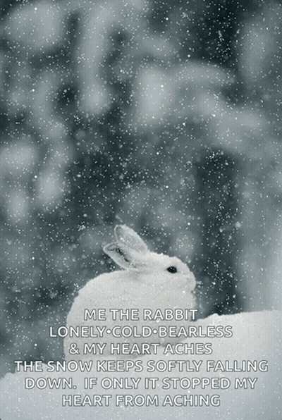 White Rabbit Sitting In Snow With Poem GIF