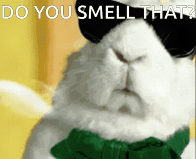 White Rabbit Sunglasses Green Bow Tie Saying Do You Smell That GIF