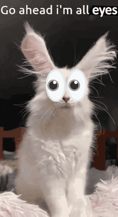 White Rabbit With Googly Eyes Saying Go Ahead I'm All Eyes GIF