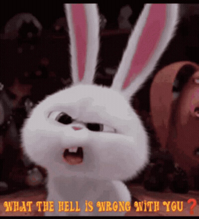White Rabbit With Pink Ears What The Hell Is Wrong With You GIF