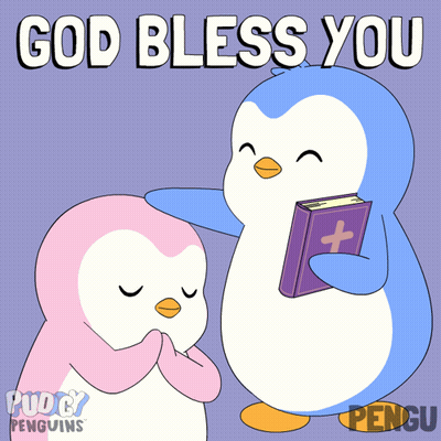 White Rabbit With Pink Flower And Bluemy GIF
