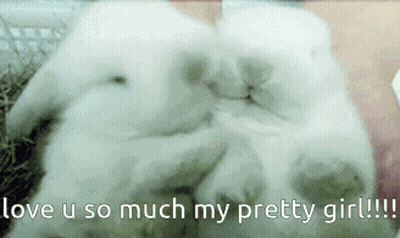 White Rabbits Laying Love U So Much My Pretty Girl GIF