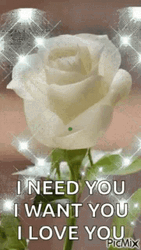 White Rose I Need You GIF