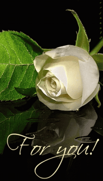 White Rose Saying For You GIF