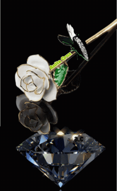 White Rose With Green Butterfly and Diamond