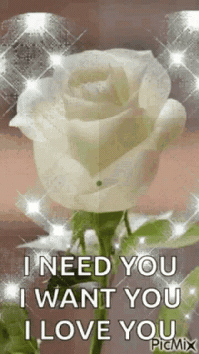 White Rose With I Need You I Want You I Love You GIF