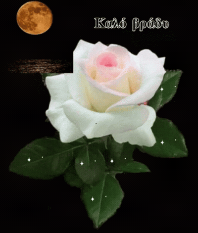 White Rose With Pink Center And Red Heart GIF
