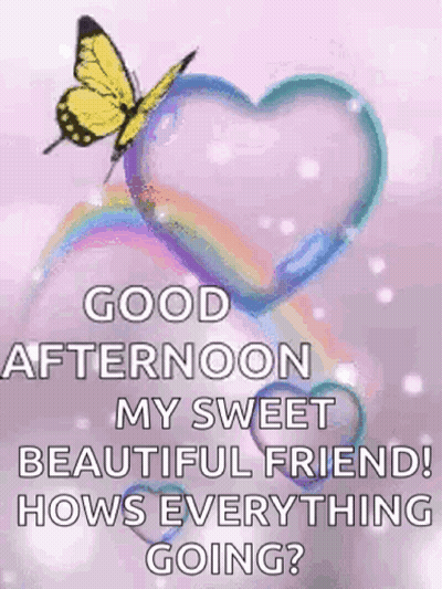 White Rose With Sunny Saturday Sister Love GIF