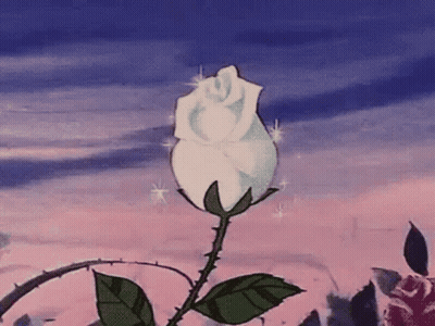 White Rose With Thorns Against Pink And Blue Sky GIF