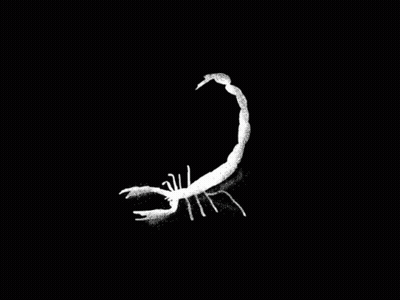 White Scorpion Crawling On Black Surface GIF