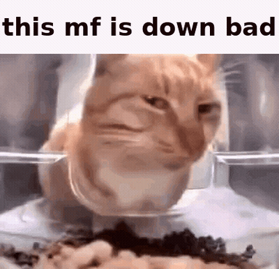 White Sign Saying Currently WN Bad GIF