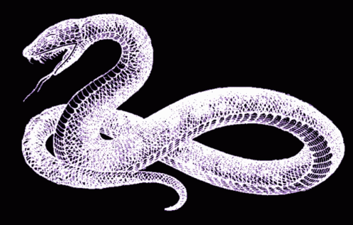 White Snake With Tongue Out GIF