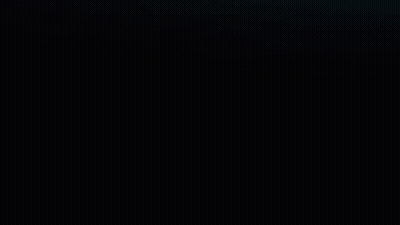 White Spider Logo On Black Background GIF
