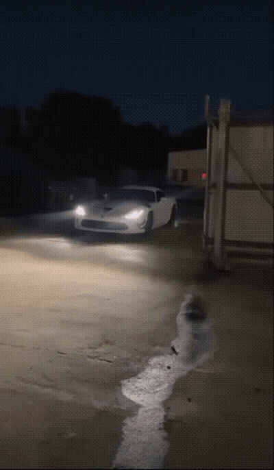 White Sports Car Parked In Dark Parking Lot At Night GIF