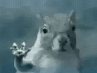 White Squirrel Waving on Blue Surface