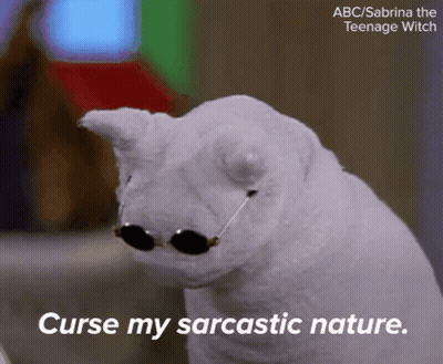 White Stuffed Animal Sunglasses Curse My Sarcastic Nature GIF