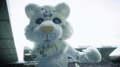 White Stuffed Animal With Blue Eyes And Spots GIF