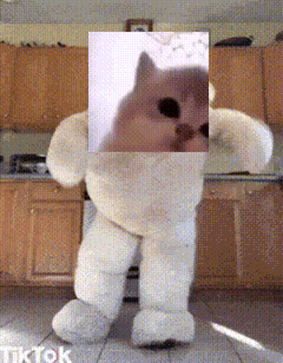 White Teddy Bear With Cat Picture
