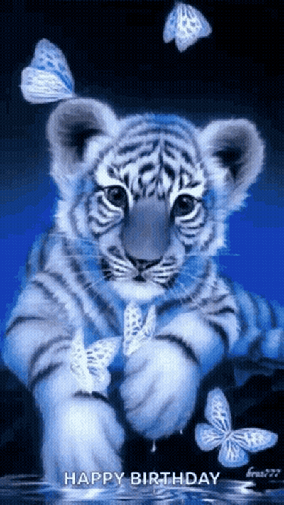 White Tiger Cub With Blue Butterflies In Water GIF